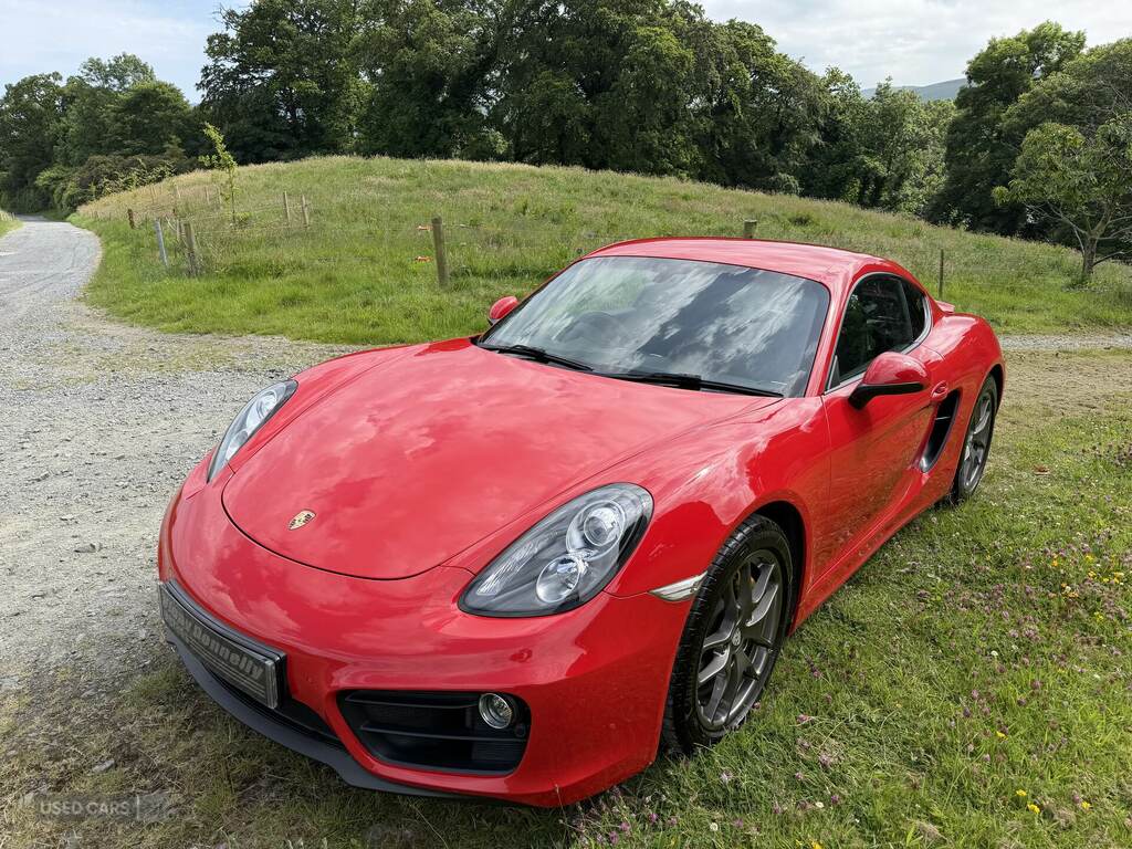 Porsche Cayman Cayman Gts Pdk 9 Red #14