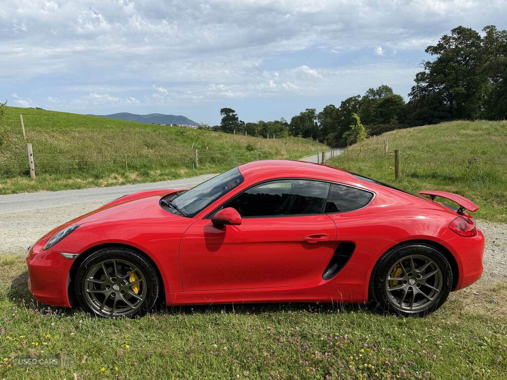 Porsche Cayman Cayman Gts Pdk 9 Red #11