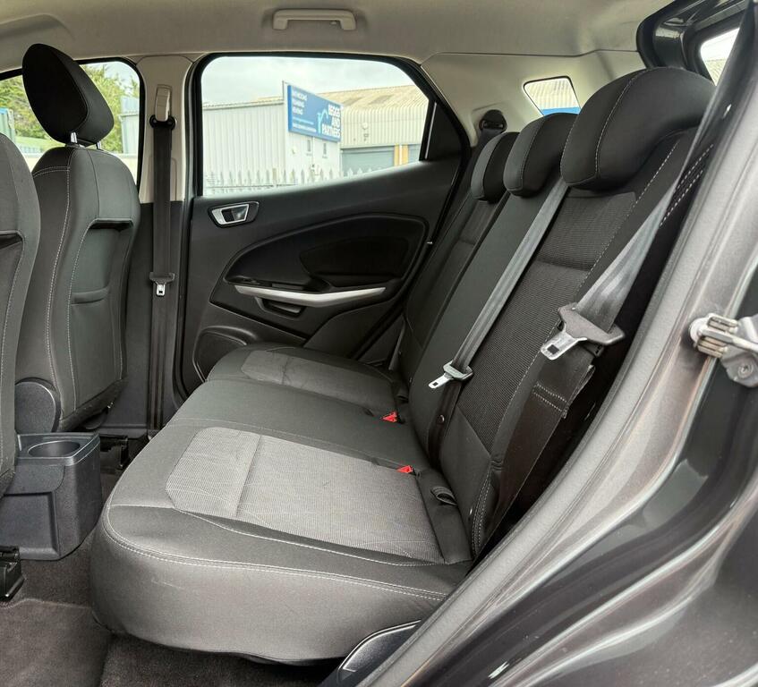 Ford Ecosport Titanium Grey #46