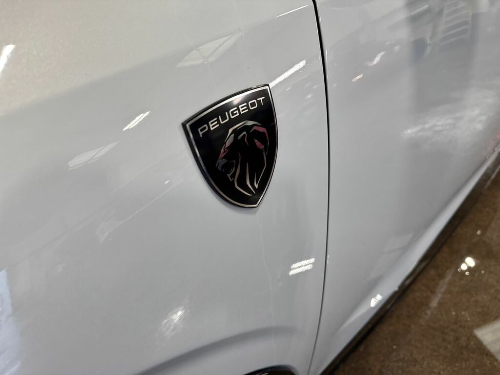 Peugeot 3008 Active Black #26