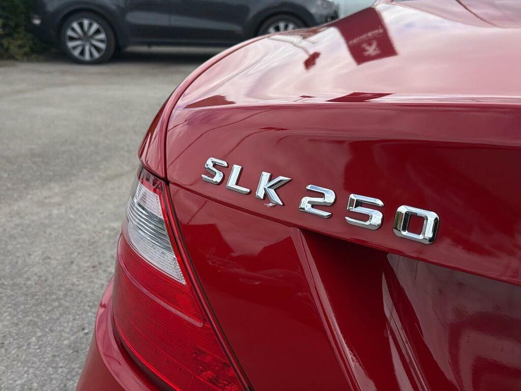 Mercedes-Benz SLK 250 Cdi Blueefficiency Tip 2014 #23