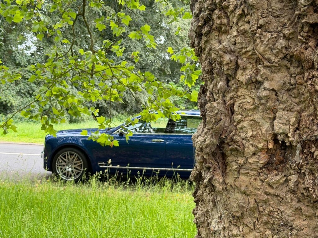 Bentley Mulsanne Grey #12