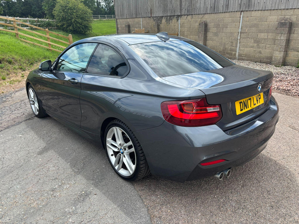 BMW 2 Series 2.0 M Sport Euro 6 Ss #4