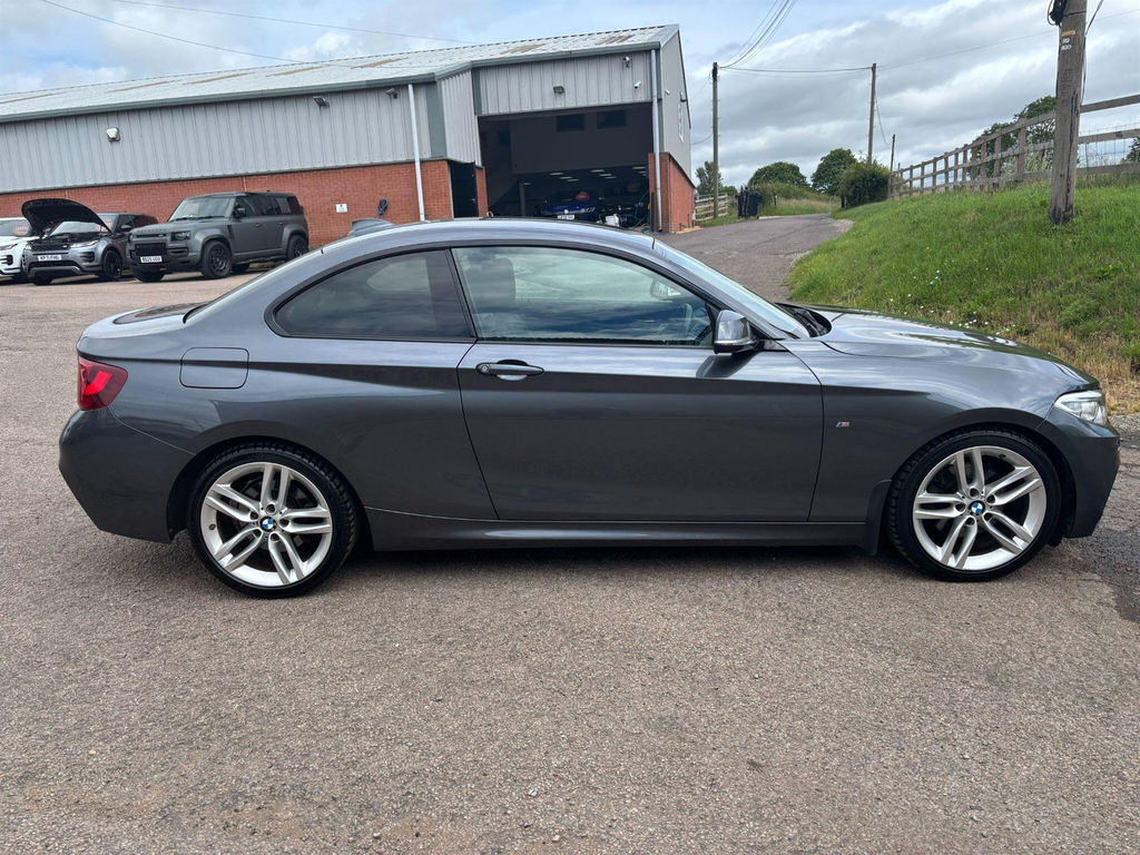 BMW 2 Series 2.0 M Sport Euro 6 Ss