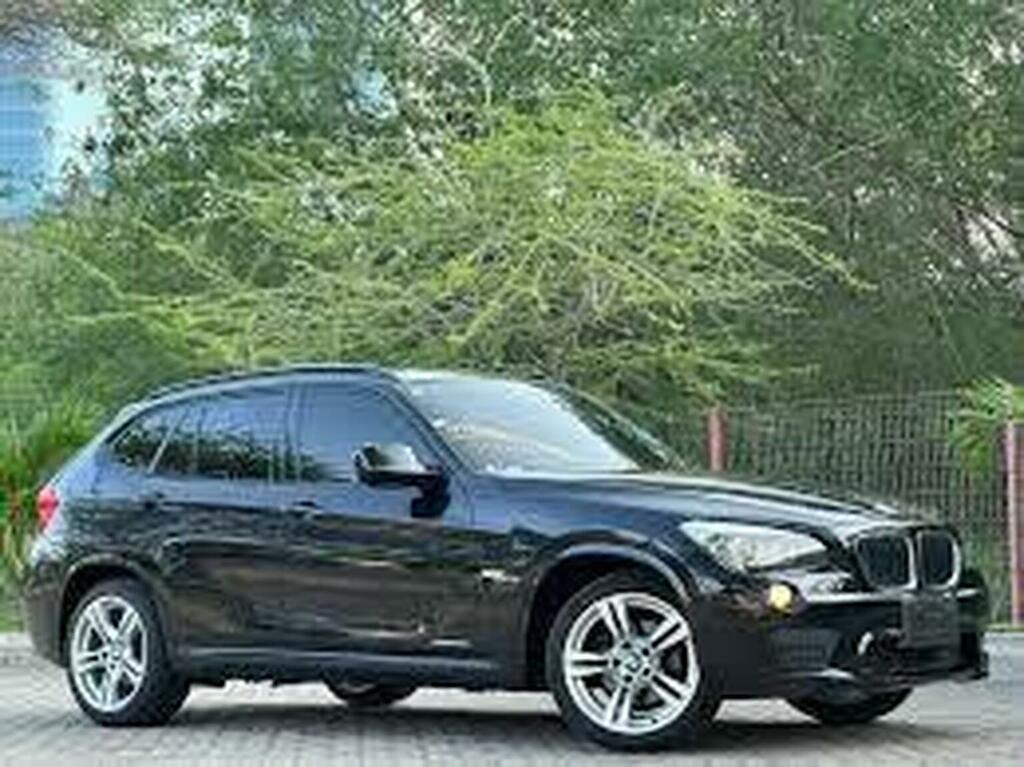 BMW X1 2.0 20D M Sport Steptronic Xdrive Euro 5 Black