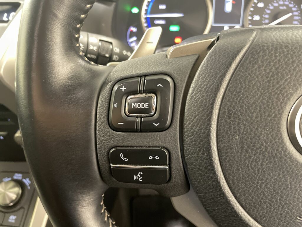 Lexus NX 300H 2.5 Cvt 8 Nav Grey #47