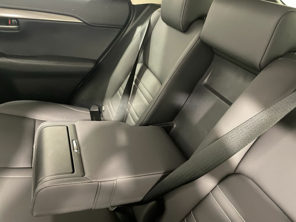 Lexus NX 300H 2.5 Cvt 8 Nav Grey #28