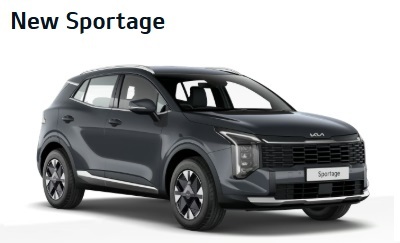 Kia Sportage Pure 1.6T Grey