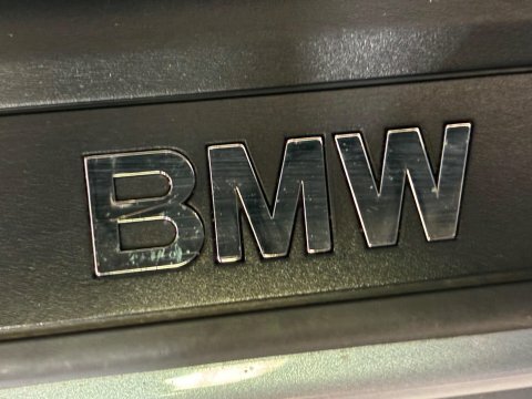 BMW 3 Series 320I Se Silver #49
