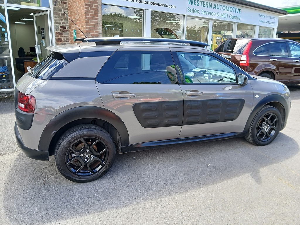 Citroen C4 Cactus 1.2 Puretech Feel Euro 6 Silver #8