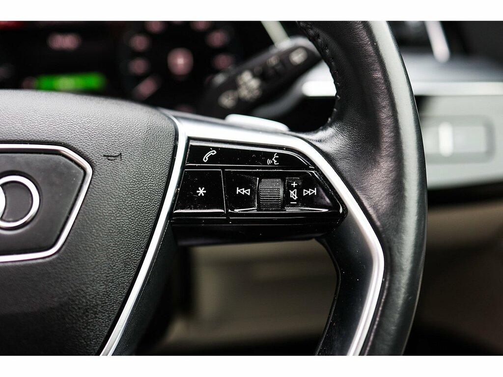 Audi E-tron Launch Edition Grey #25