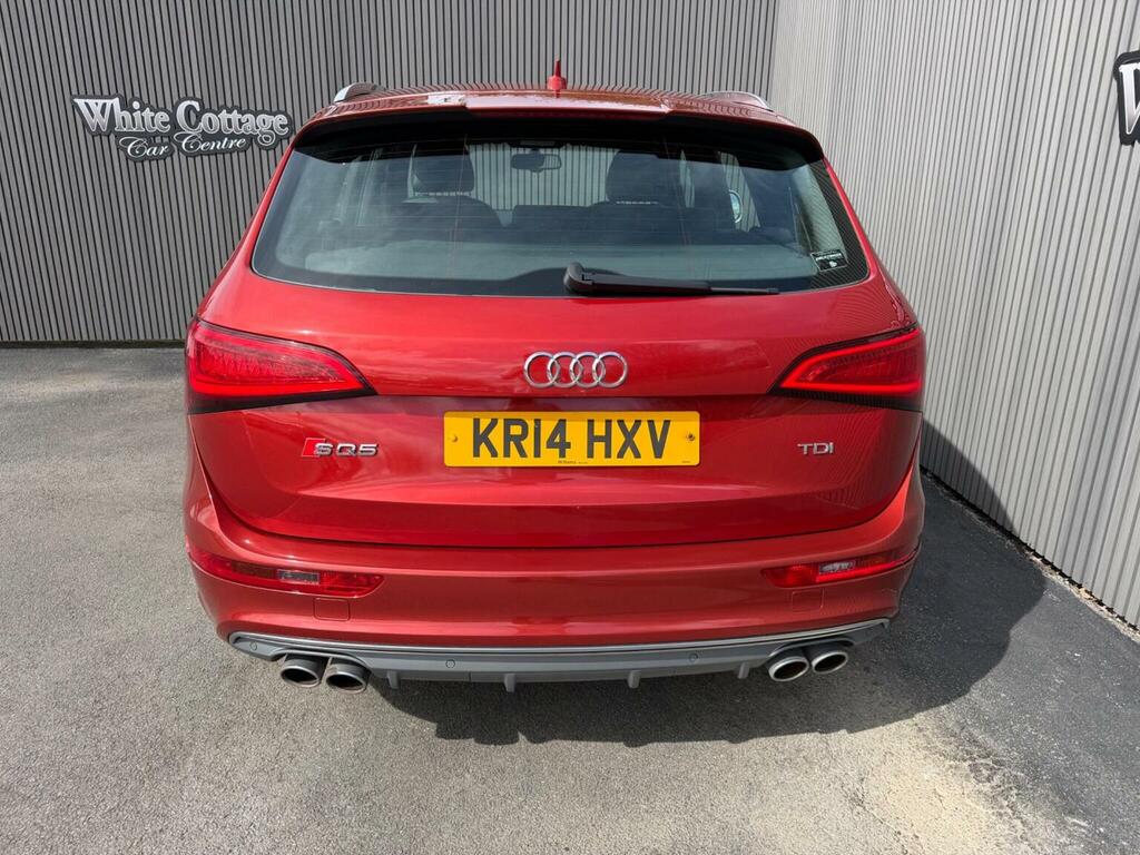 Audi SQ5 Suv 3.0 Bitdi V6 Tiptronic Quattro Euro 5 Ss KR14HXV Red #6