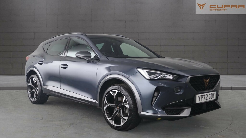 Cupra Formentor 2.0 Tsi V2 Suv Dsg 4Drive Euro 6 Ss Grey