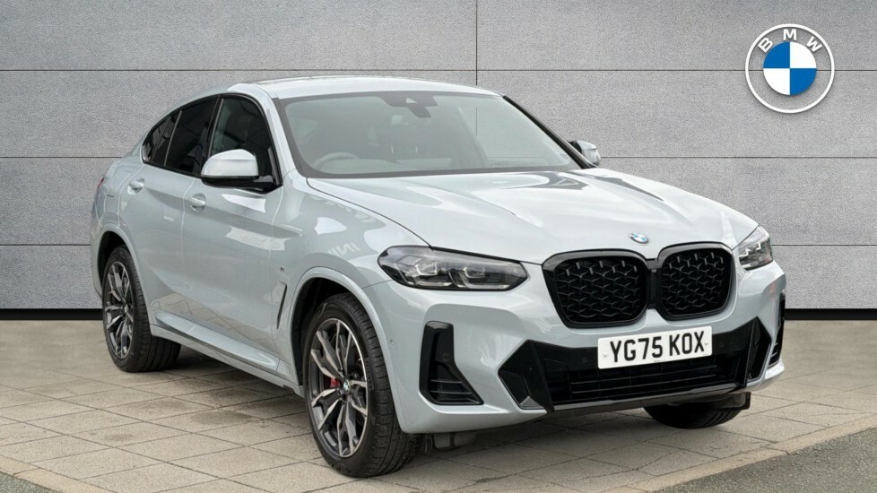 BMW X4 Xdrive20d M Sport Grey #1