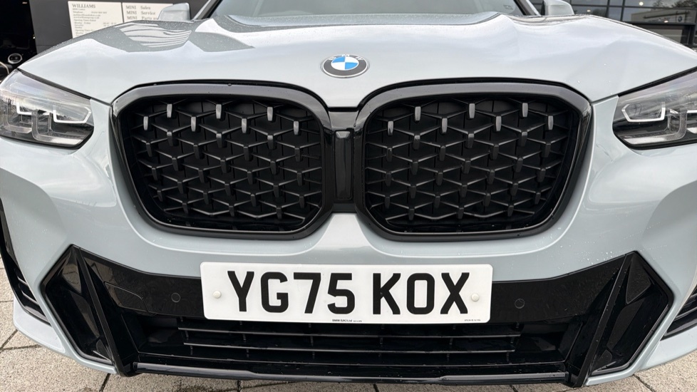 BMW X4 Xdrive20d M Sport Grey #35