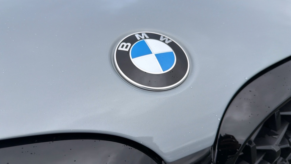 BMW X4 Xdrive20d M Sport Grey #33