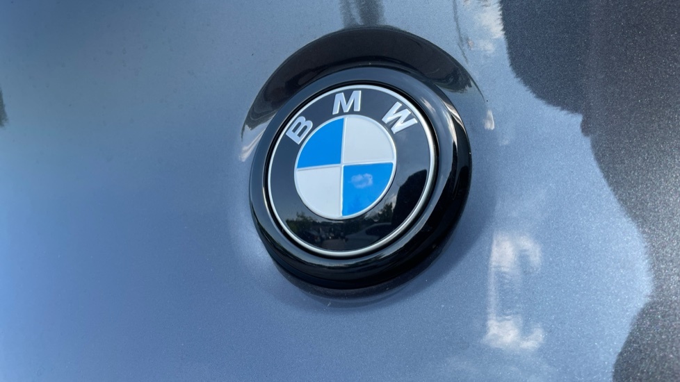 BMW X4 Xdrive M40d Mht Grey #47