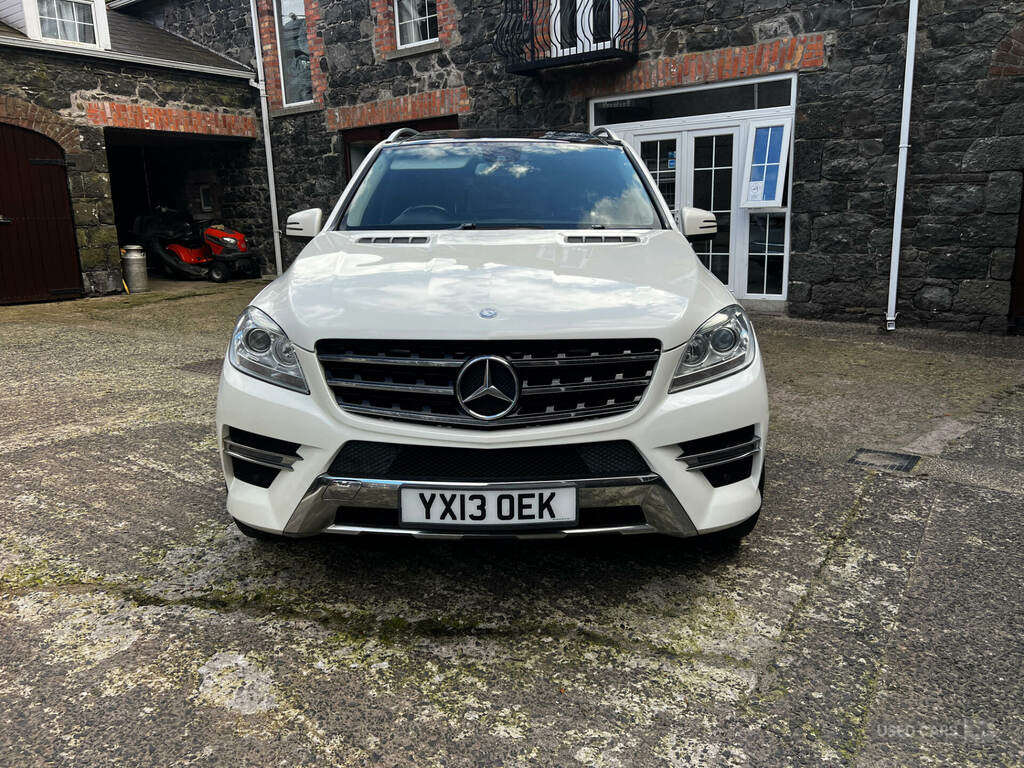 Mercedes-Benz M Class Ml250 Bluetec Amg Sport Silver #7