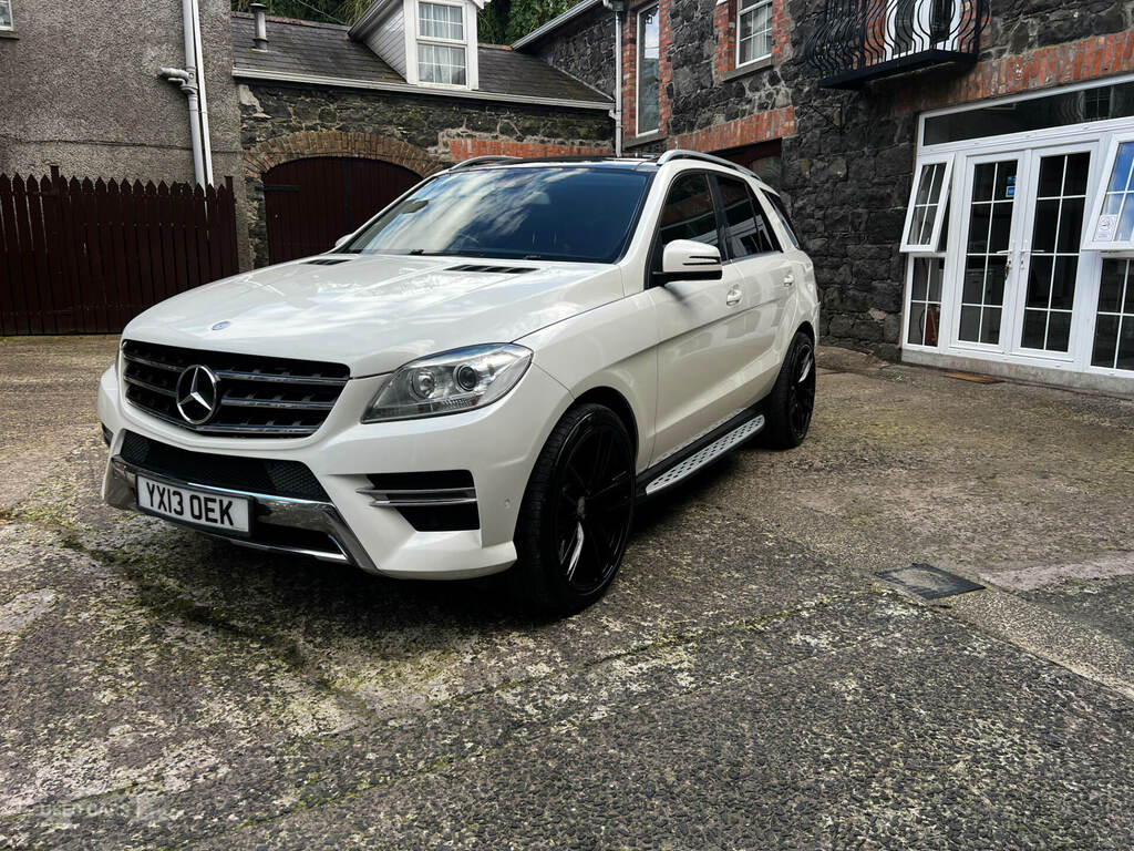 Mercedes-Benz M Class Ml250 Bluetec Amg Sport Silver #8