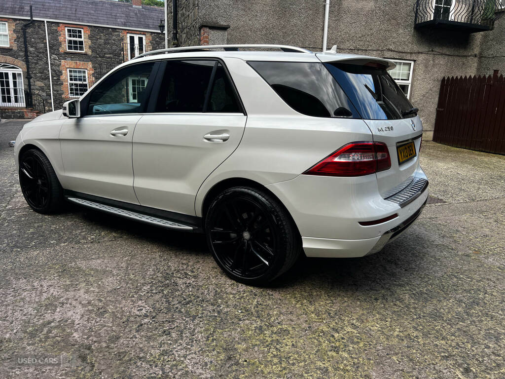 Mercedes-Benz M Class Ml250 Bluetec Amg Sport Silver #10