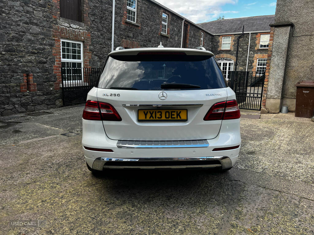 Mercedes-Benz M Class Ml250 Bluetec Amg Sport Silver #11