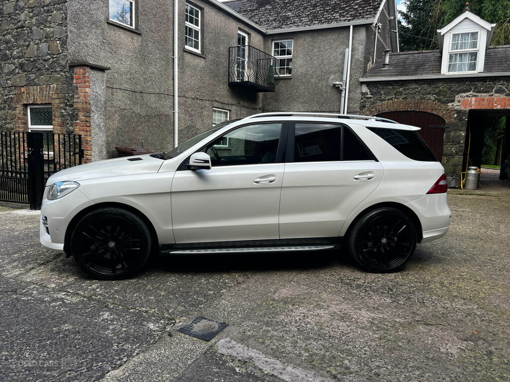 Mercedes-Benz M Class Ml250 Bluetec Amg Sport Silver #9