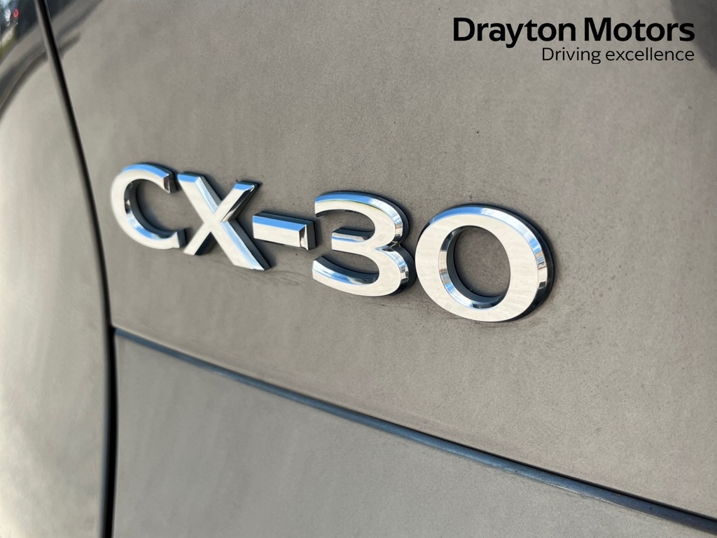 Mazda CX-30 Petrol Red #45