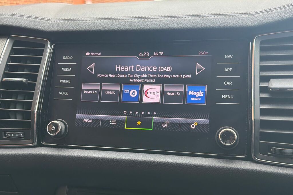 Skoda Kodiaq Se Grey #12