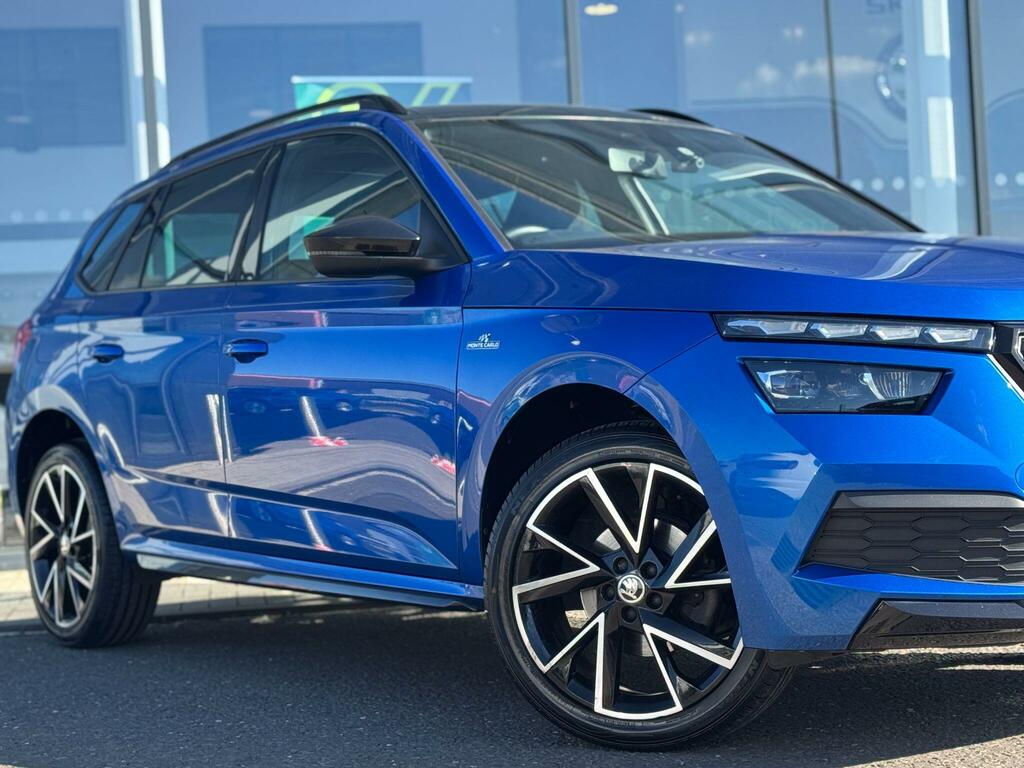 Skoda Kamiq Se Blue #25