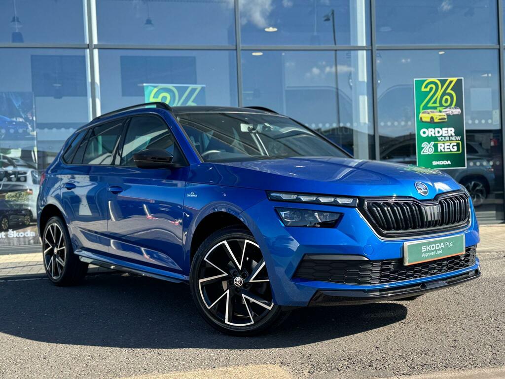 Skoda Kamiq Se Blue #20