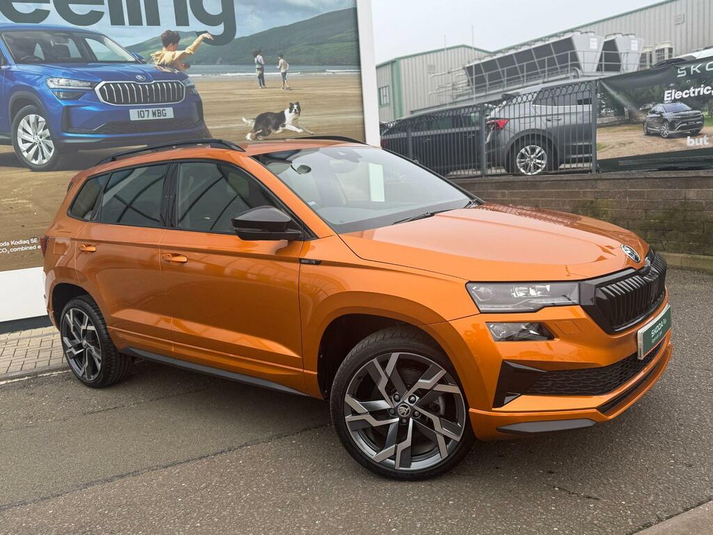 Skoda Karoq Se Drive Black #30