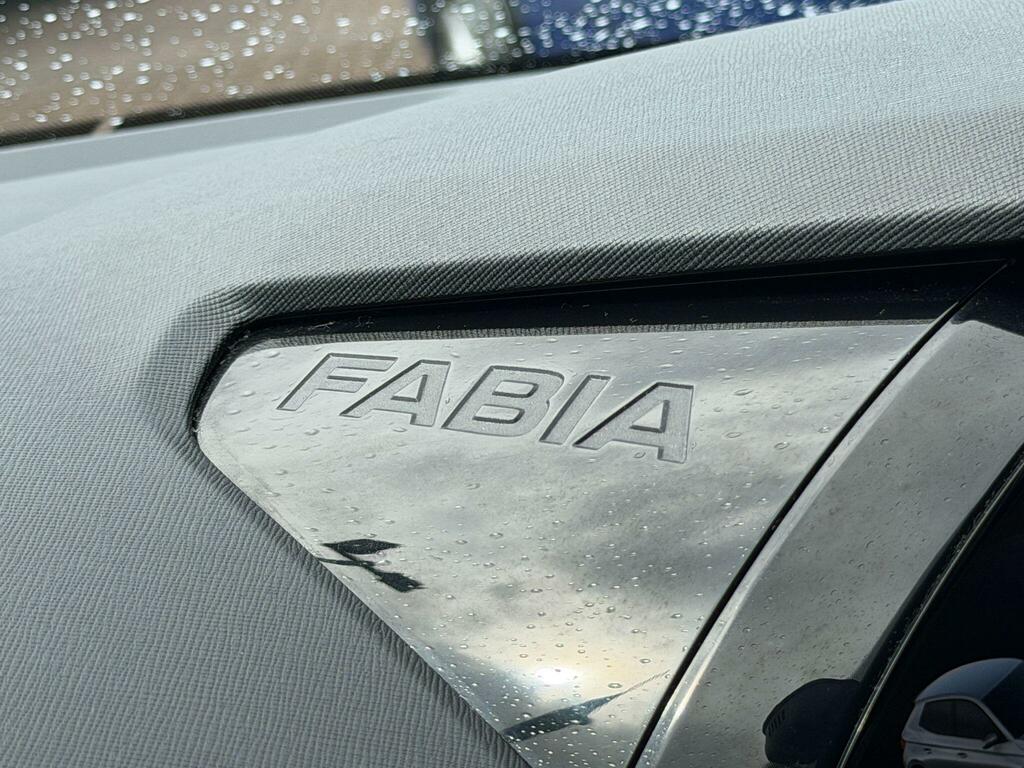 Skoda Fabia 1.0 Tsi Colour Edition Hatchback Grey #47