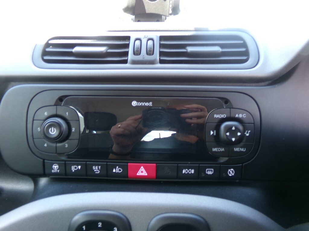 Fiat Panda City Cross Grey #17