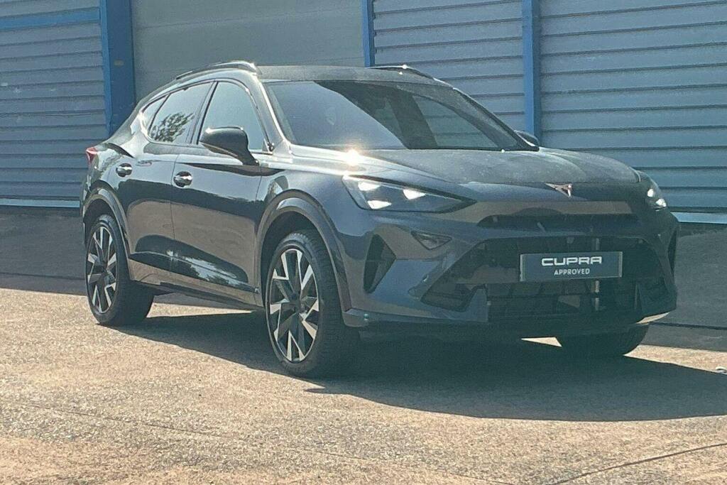 Cupra Formentor 1.5 Tsi V2 Suv Grey